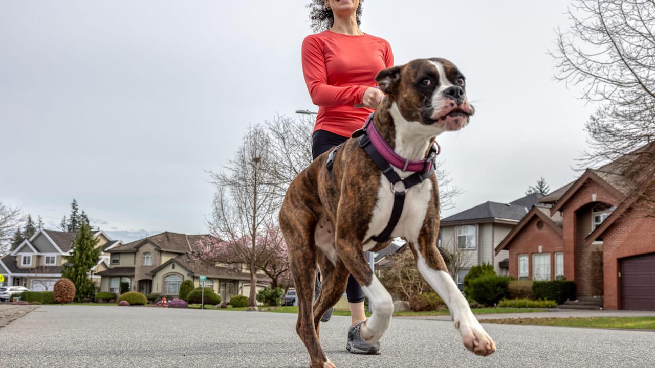 human fitness human fitness