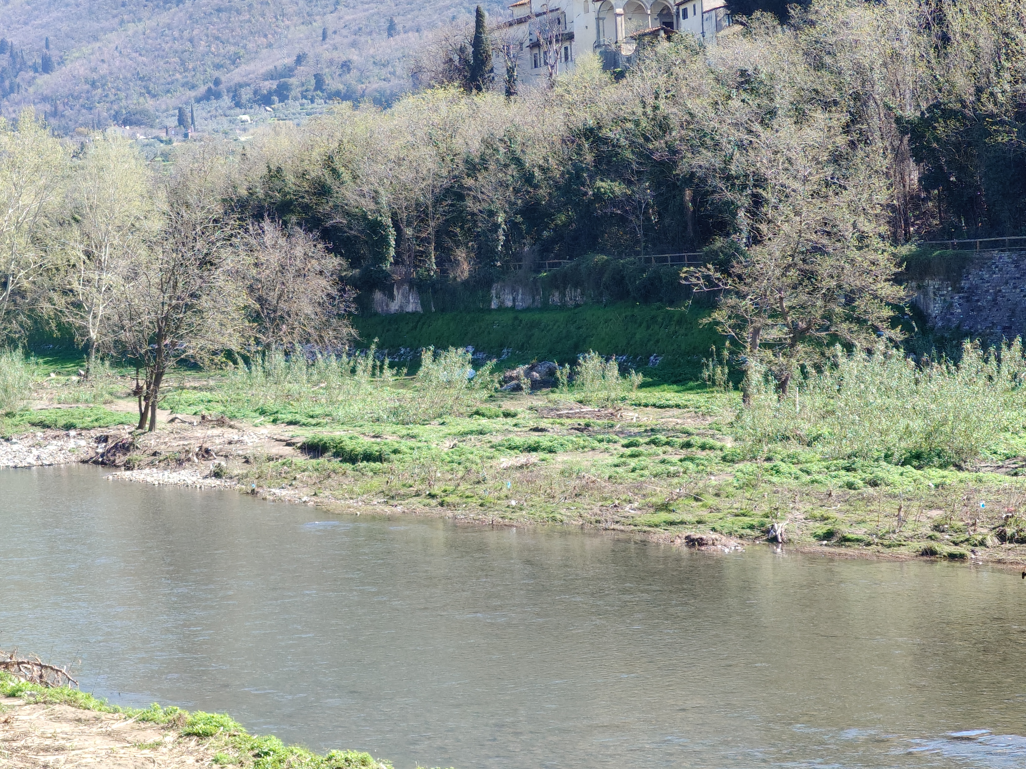 realme recensione Realme 12 Pro - Recensione tecnica comparto fotografico