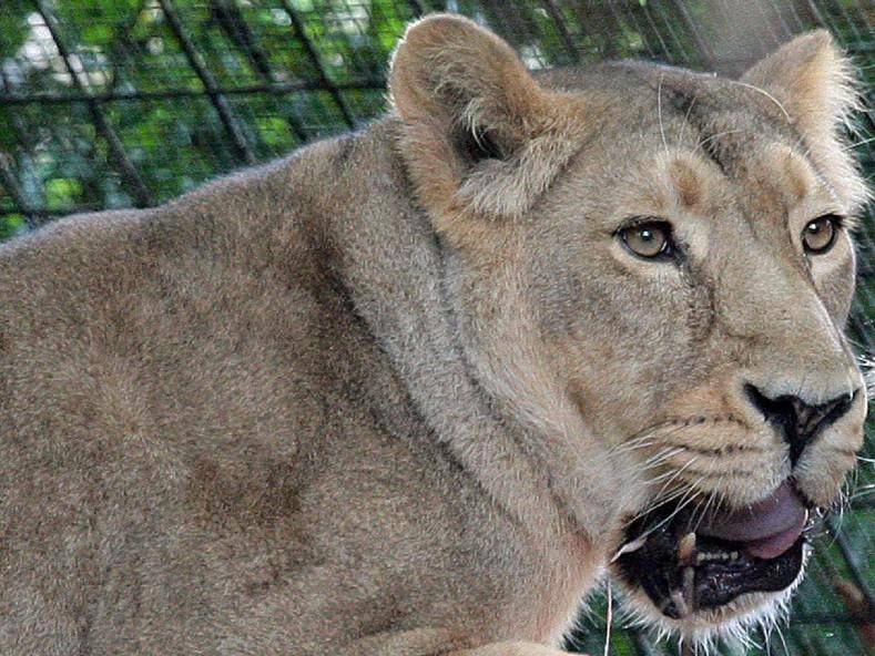 kenya 14enne kenya 14enne