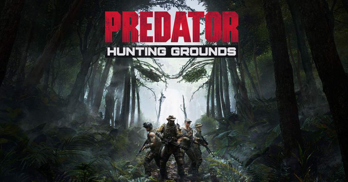 predator hunting predator hunting