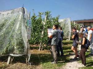 bonus agricoltori bonus agricoltori