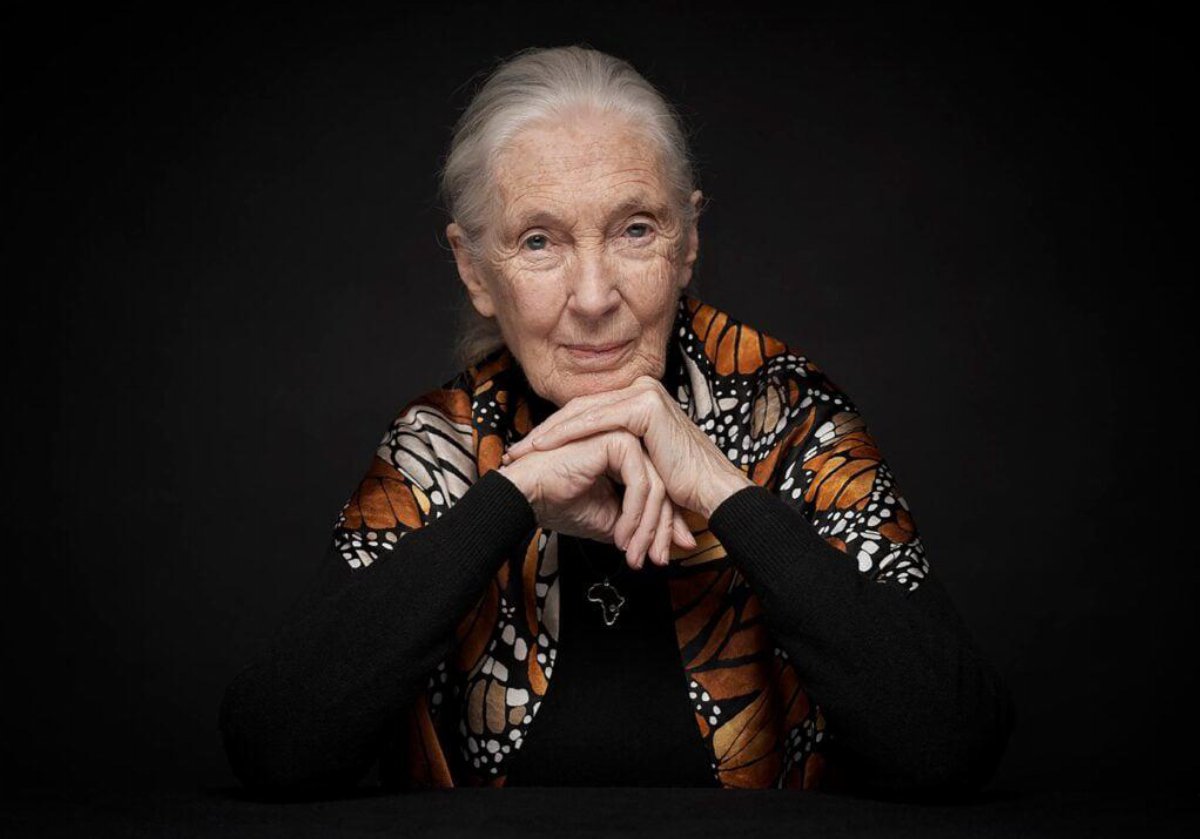 Jane Goodall muore a 91 anni: il suo ultimo messaggio al pianeta
