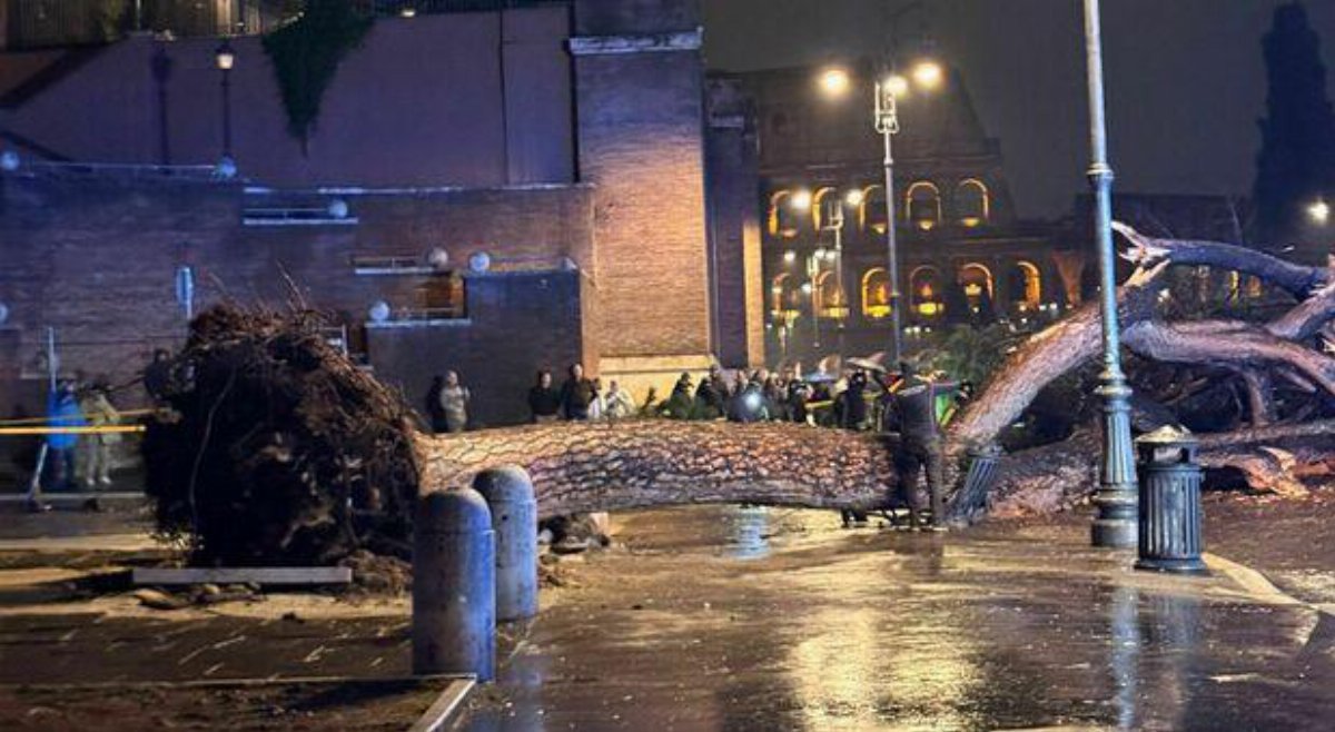 Roma, maltempo fa crollare un grande albero vicino al Colosseo: paura tra pedoni e intervento dei soccorsi