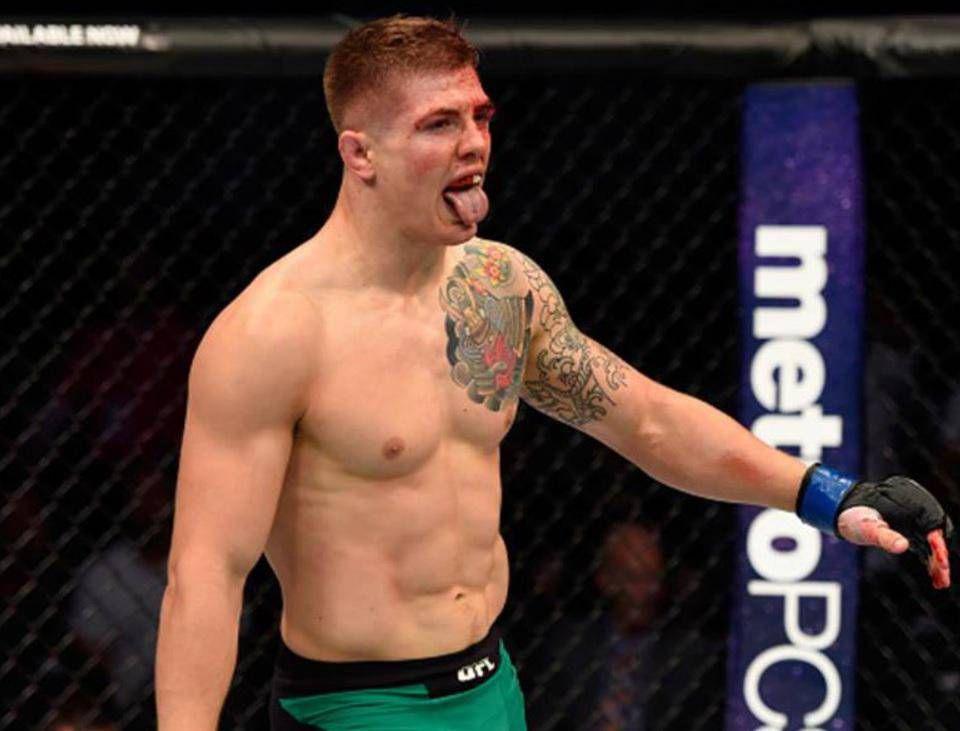 marvin vettori marvin vettori