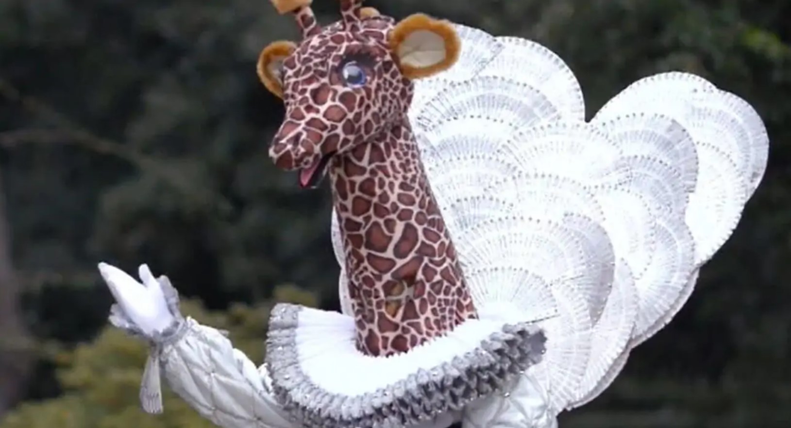 giraffa cantante giraffa cantante
