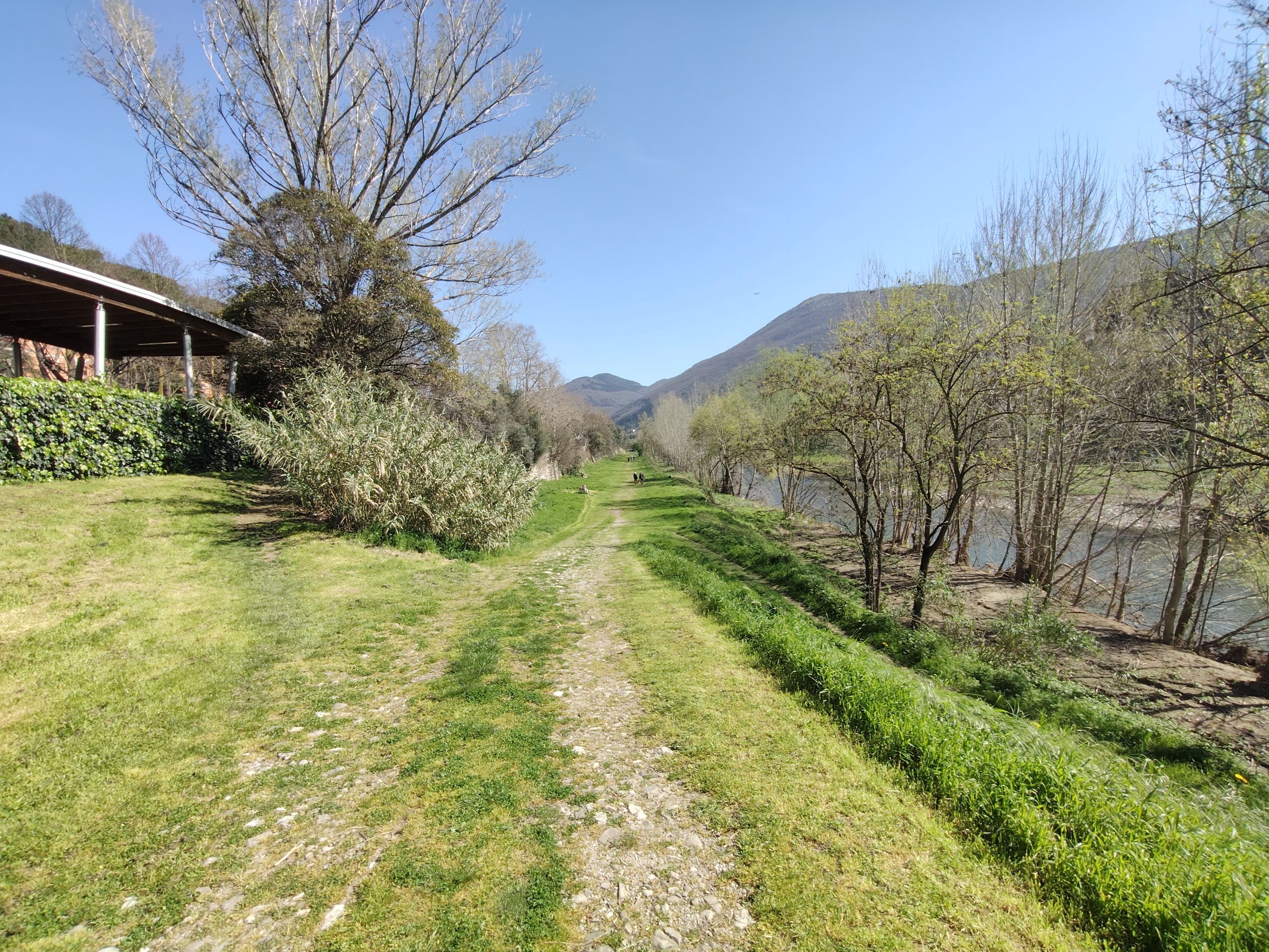 realme recensione Realme 12 Pro - Recensione tecnica comparto fotografico