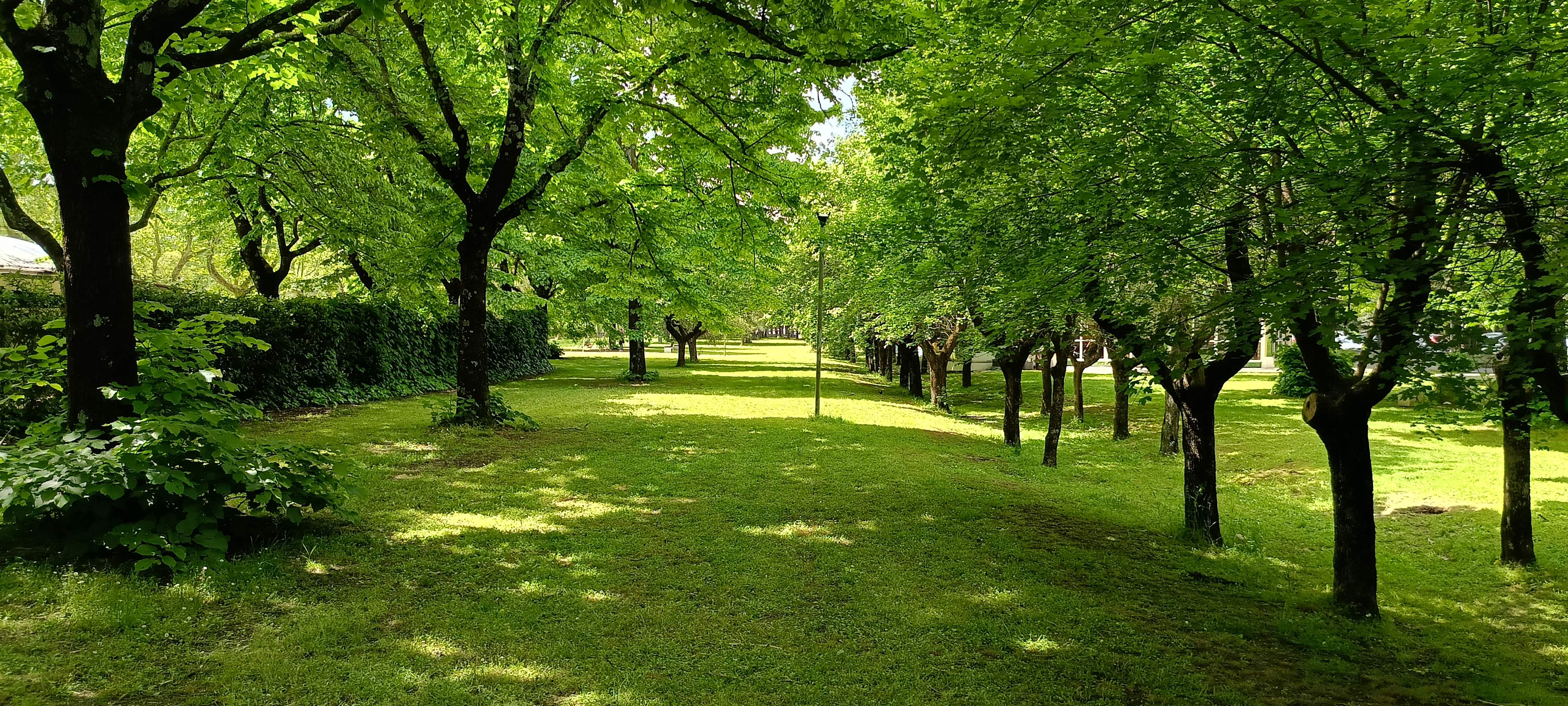  Realme 12 5G Recensione