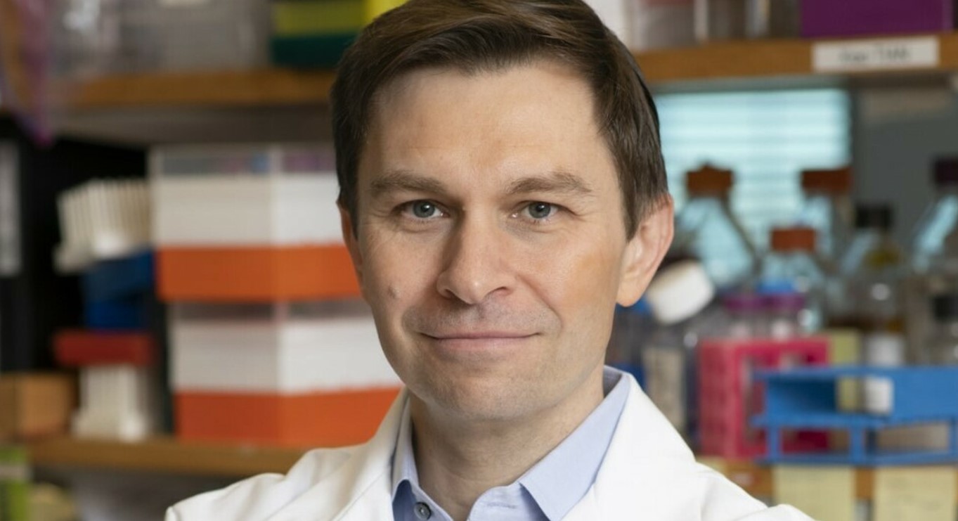 dieta anti dieta anti