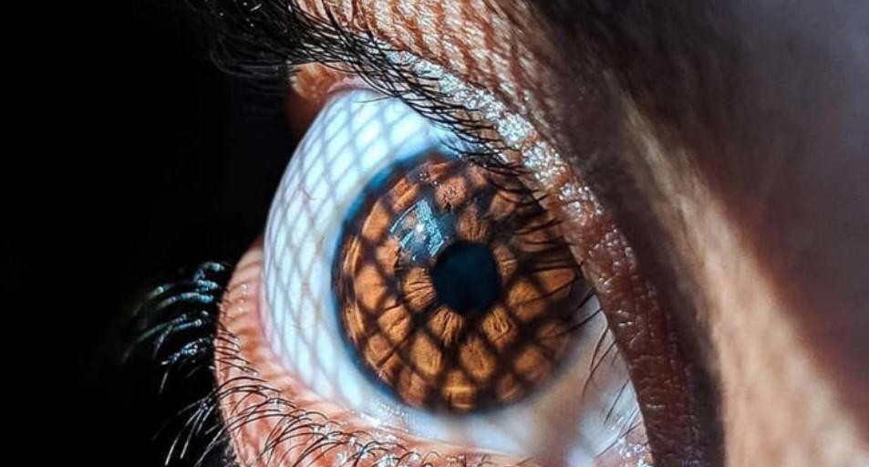 mosche volanti mosche volanti