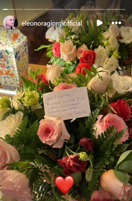 stefano martino Stefano De Martino invia un dolce messaggio a Eleonora Giorgi: un gesto che commuove