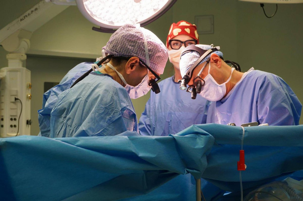 Trapianto combinato a Bergamo: padre dona rene e fegato alla figlia di 7 anni Trapianto combinato a Bergamo: padre dona rene e fegato alla figlia di 7 anni