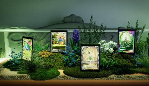 pokémon pocket