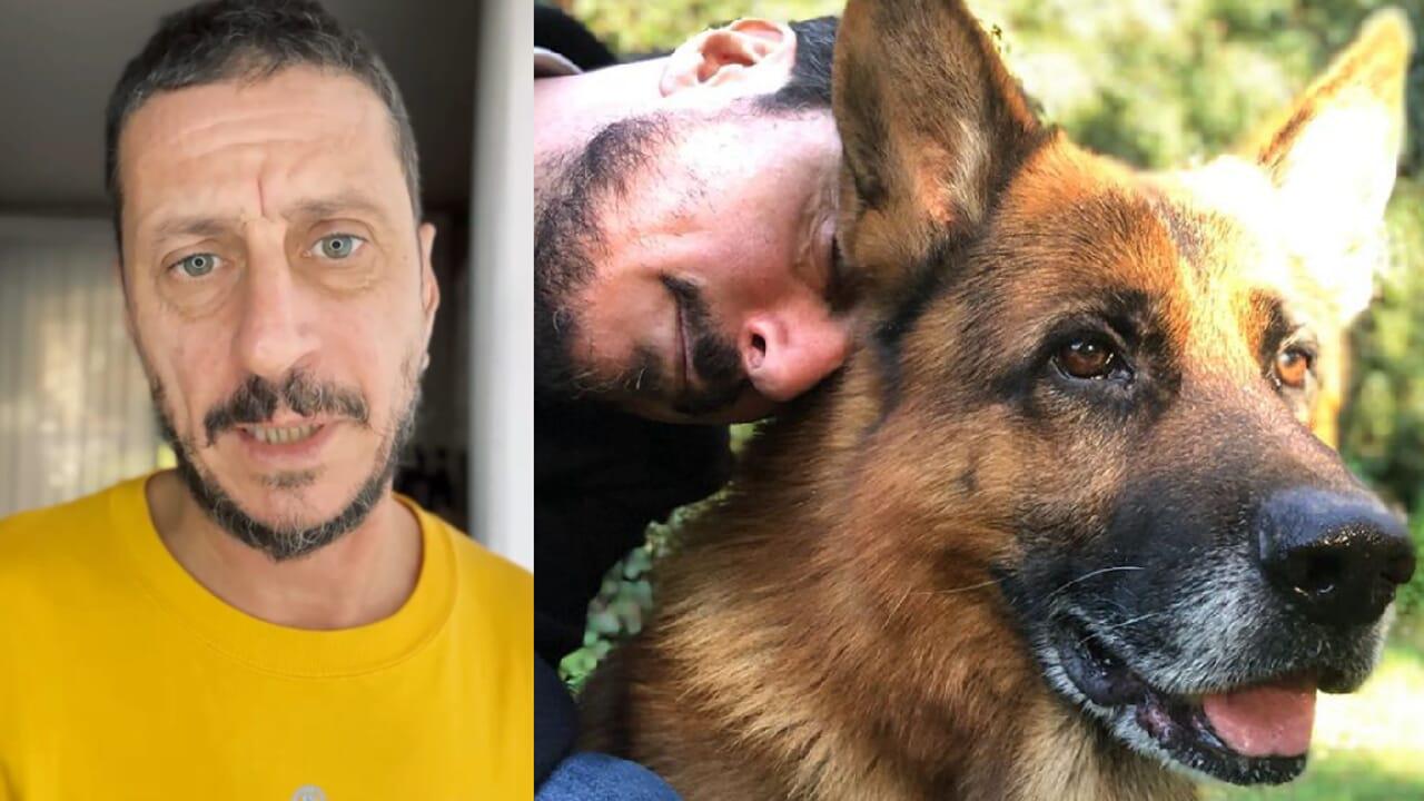 addio smog addio smog