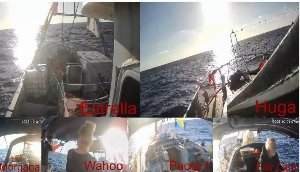 flotilla verso