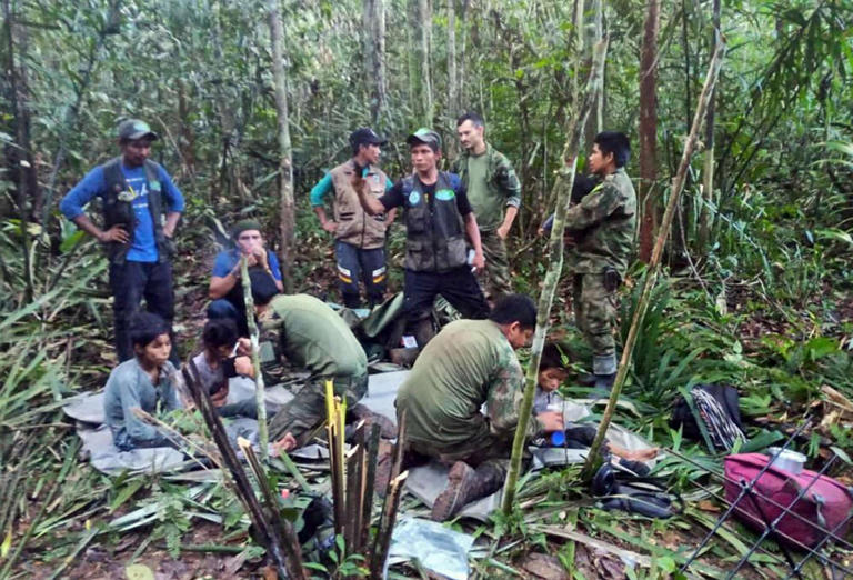 Miracoloso ritrovamento di quattro bambini sopravvissuti a un incidente aereo in Colombia nella selva del Guaviare