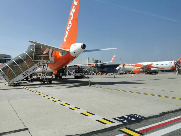 easyjet cancellazioni