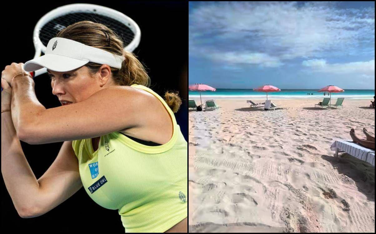 danielle collins danielle collins