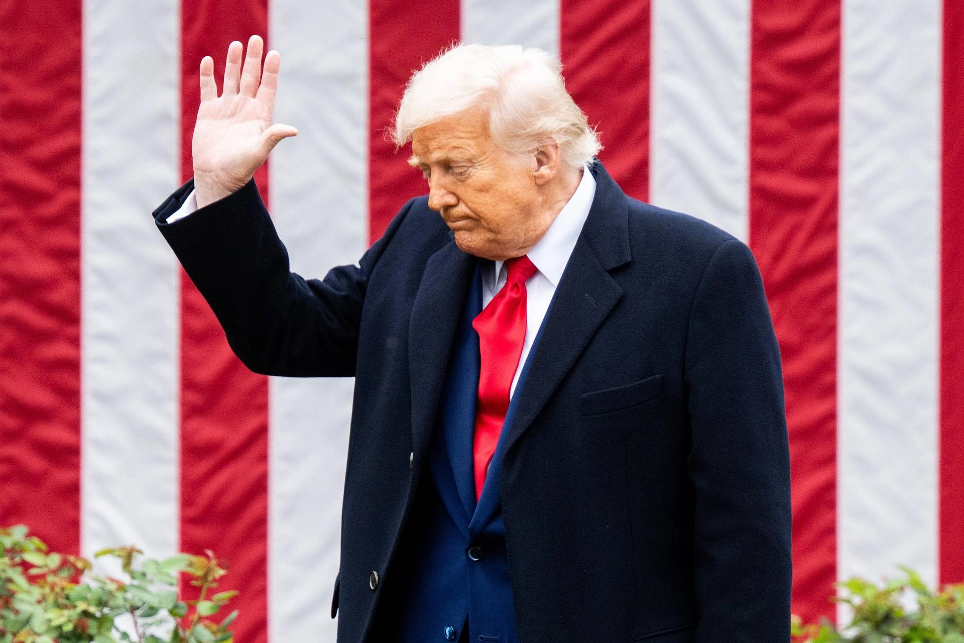 dazi pressing dazi pressing