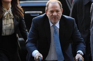 harvey weinstein harvey weinstein