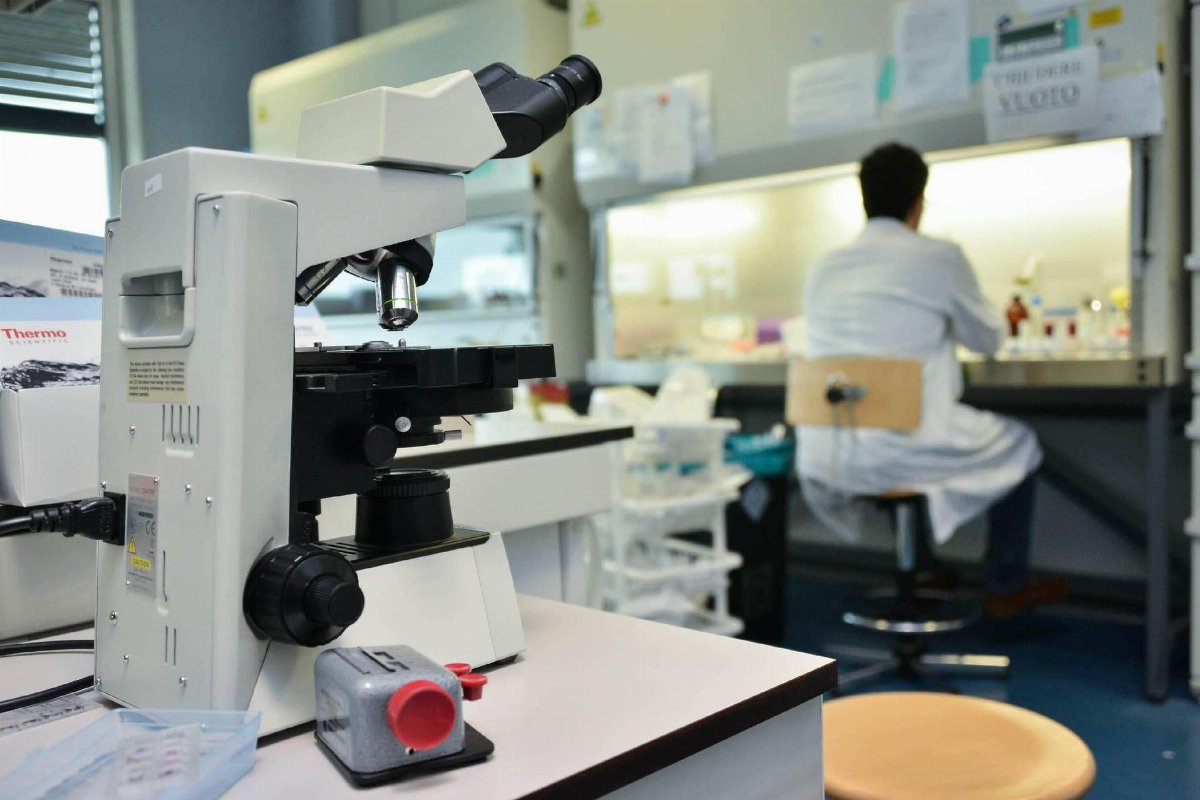 Astrociti e Alzheimer: nuova ricerca rivela la loro capacità di ripulire il cervello