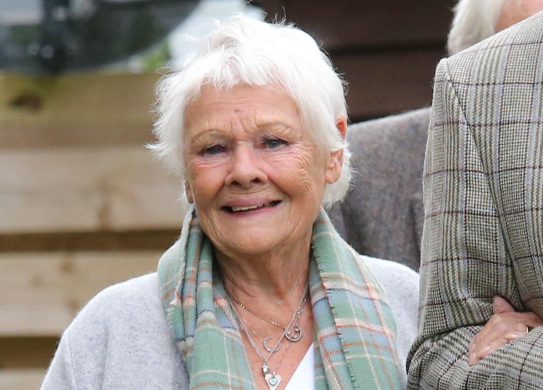 judi dench judi dench