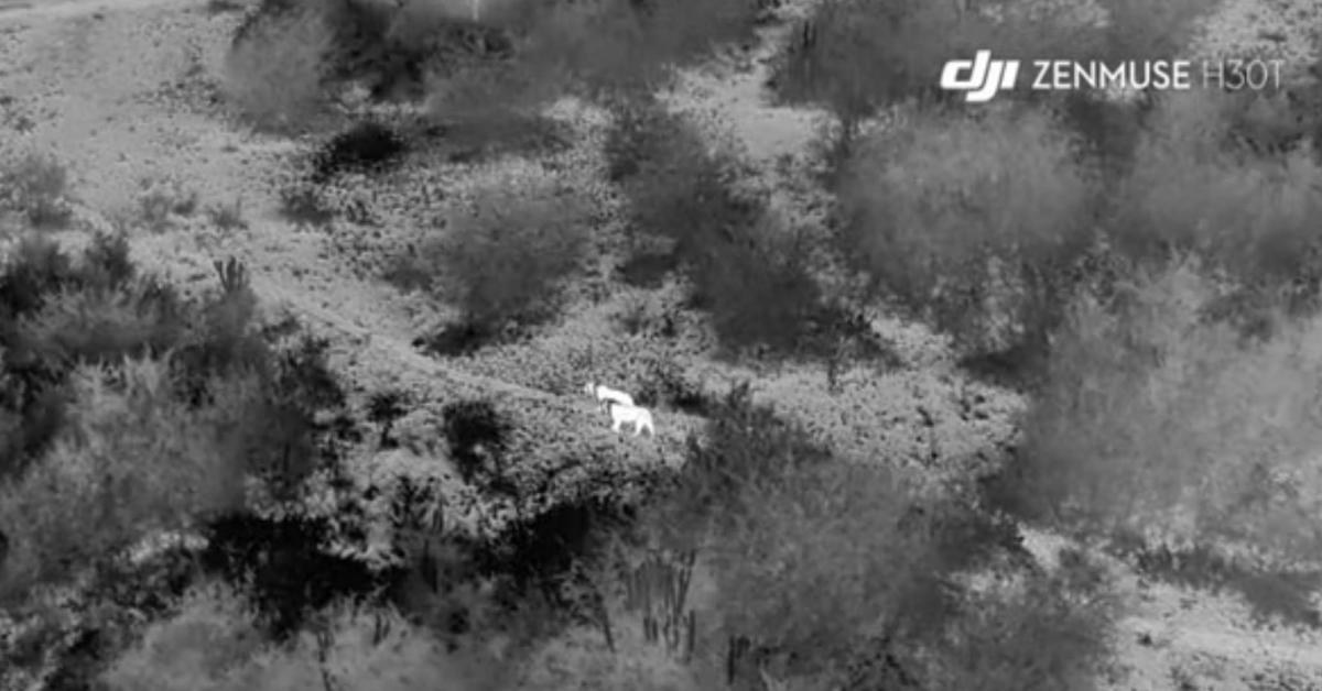 droni rivoluzionano droni rivoluzionano