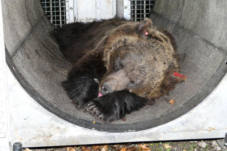 consiglio stato consiglio stato