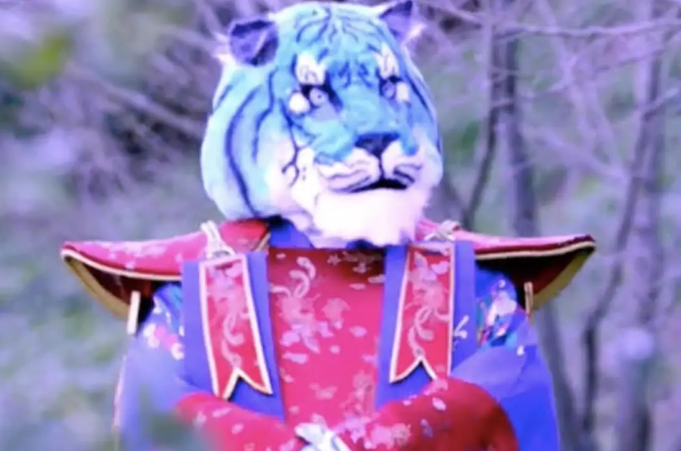 cantante mascherato cantante mascherato