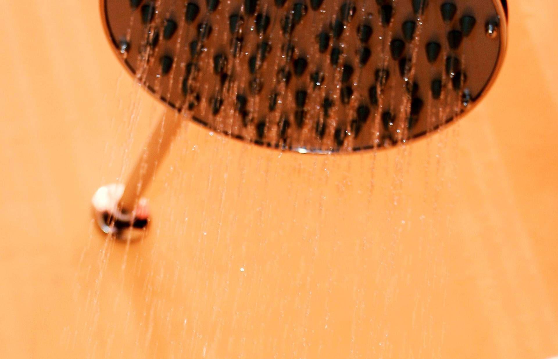 donald trump donald trump