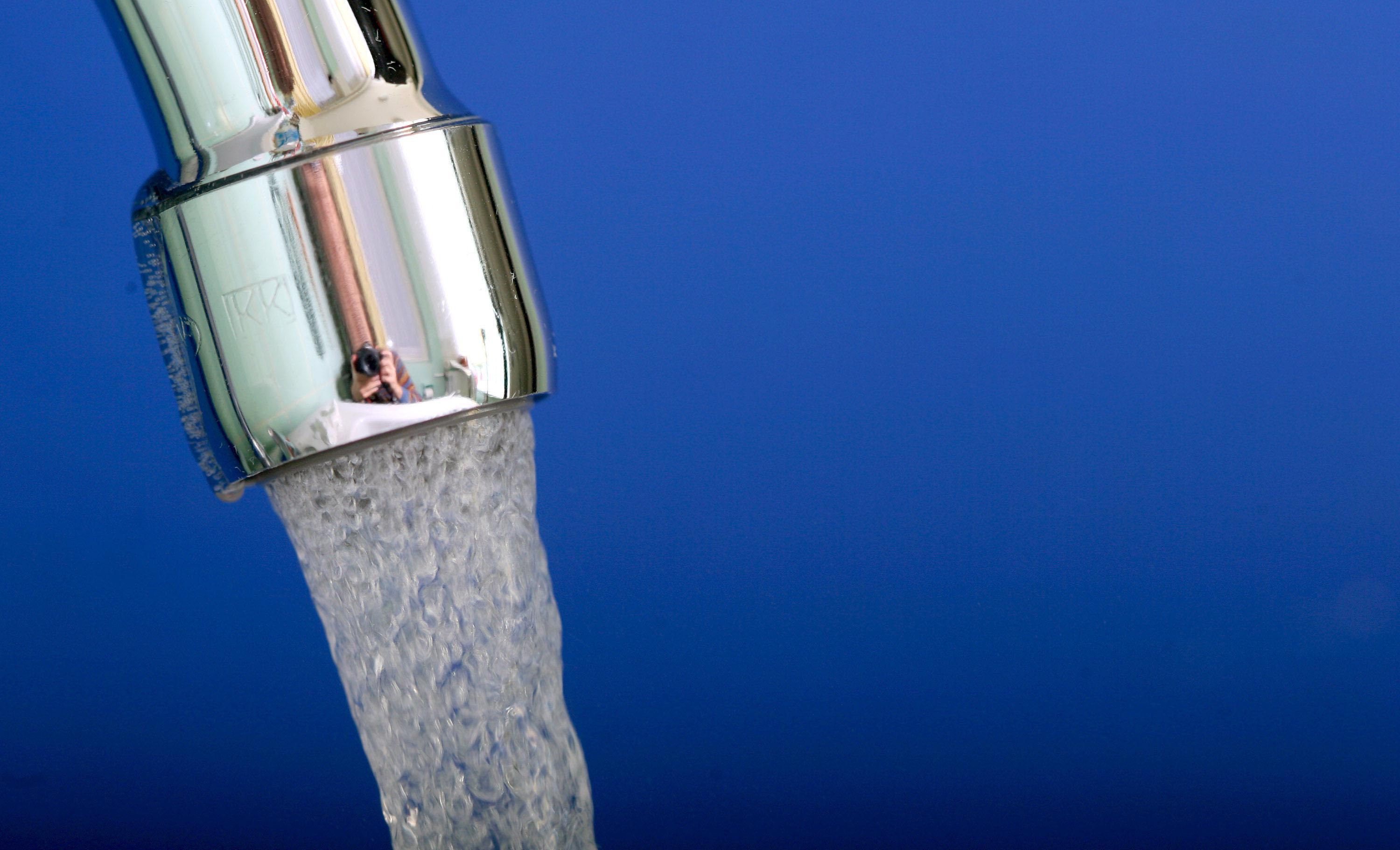 allarme salmonella allarme salmonella