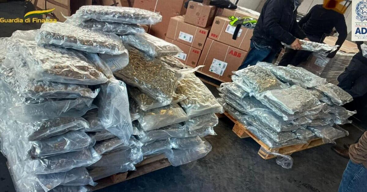 Sequestro di 130 kg di marijuana al Porto di Livorno: arrestato autista del camion