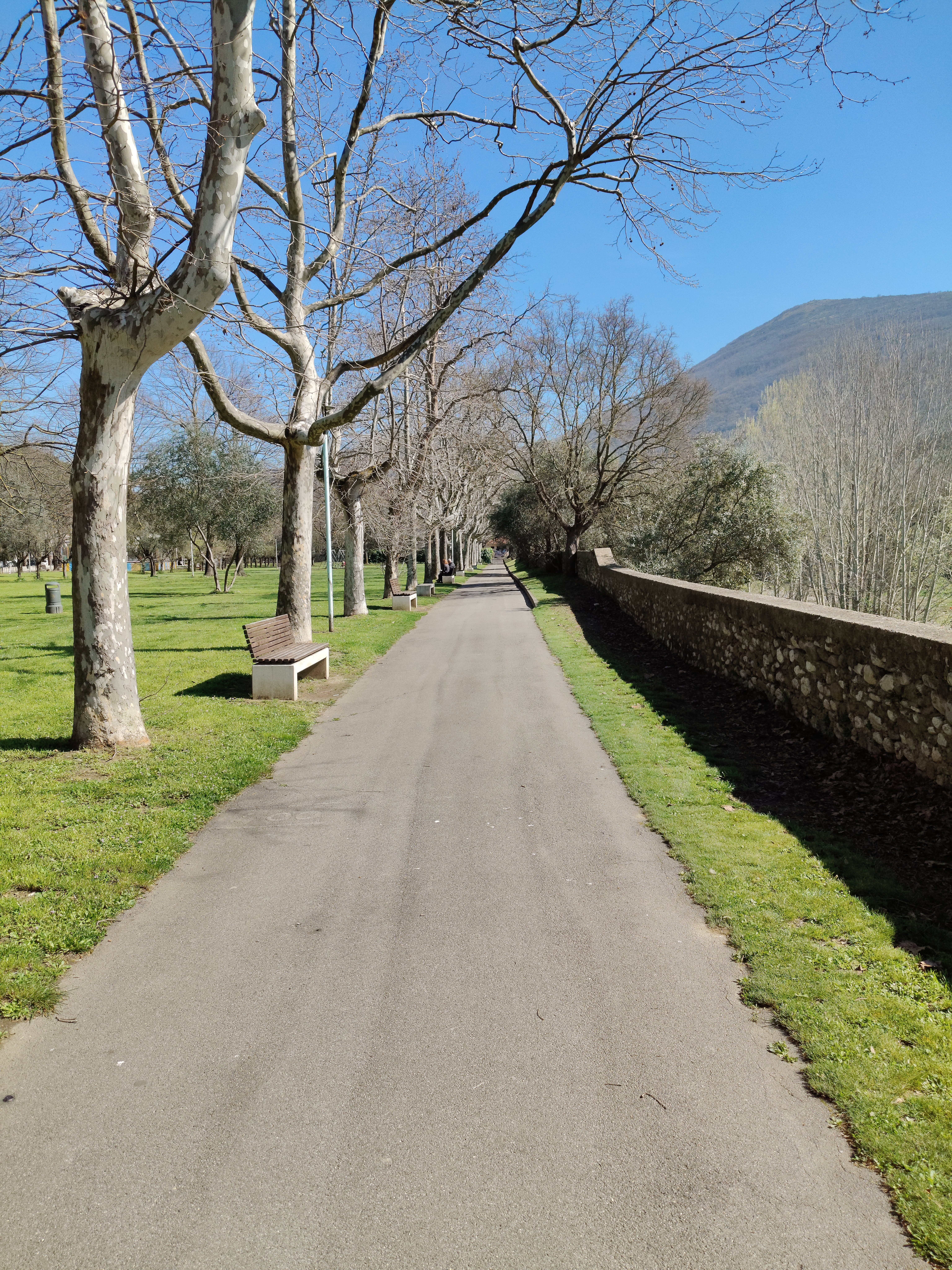 realme recensione Realme 12 Pro - Recensione tecnica comparto fotografico