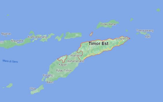 timor allerta