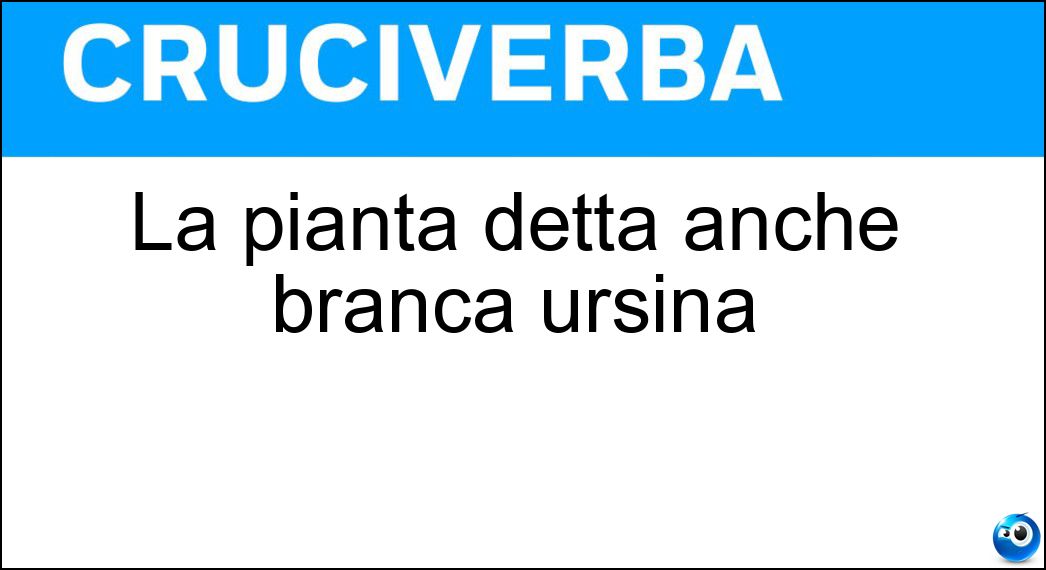 La pianta detta anche branca ursina Soluzione La pianta detta anche branca ursina - Acanto