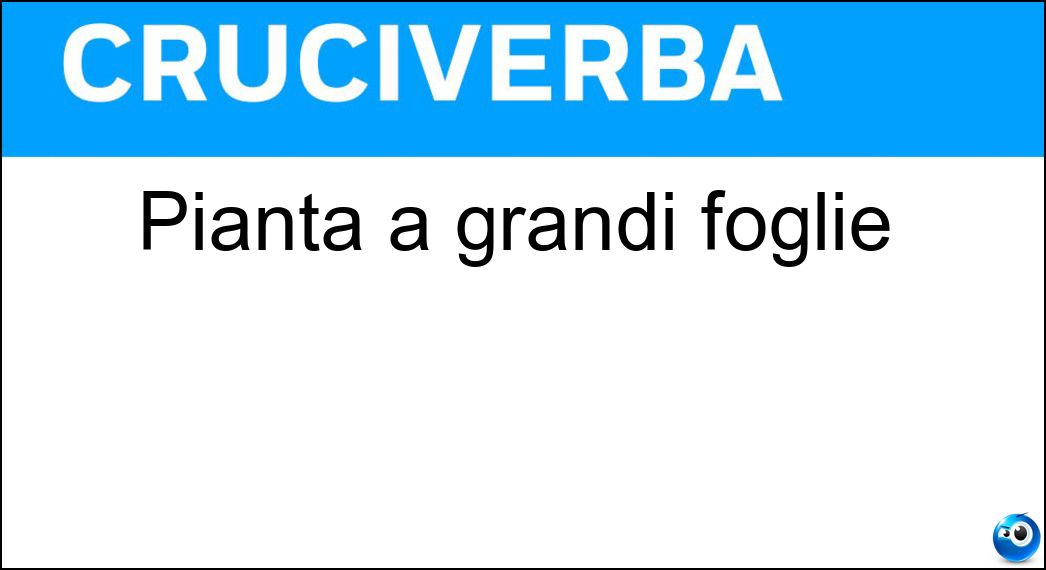 Pianta a grandi foglie Soluzione Pianta a grandi foglie - Acanto