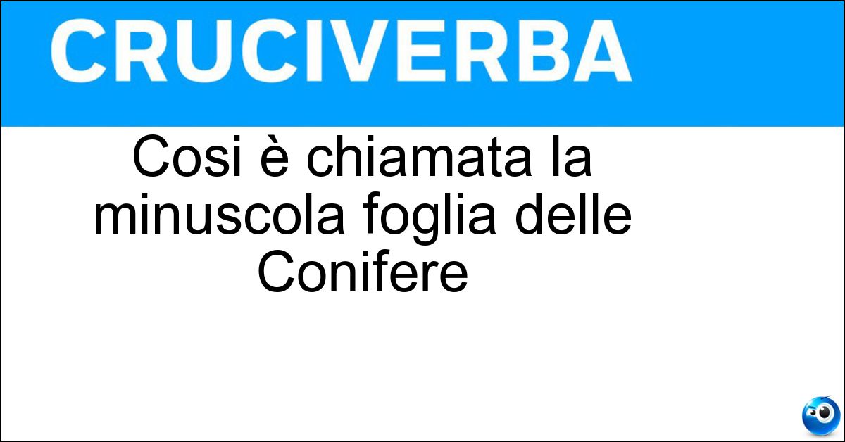 Soluzione Cosi è chiamata la minuscola foglia delle Conifere - Ago