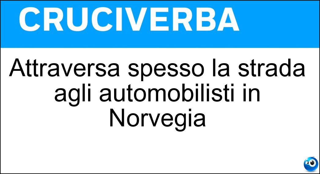 Attraversa spesso la strada agli automobilisti in Norvegia