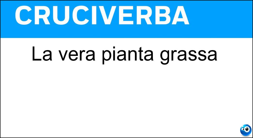 La vera pianta grassa Soluzione La vera pianta grassa - Aloe