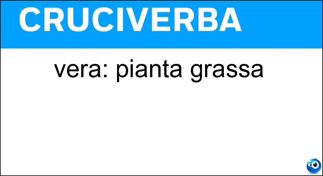 vera: pianta grassa