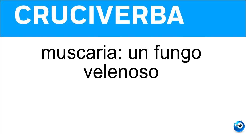 muscaria fungo