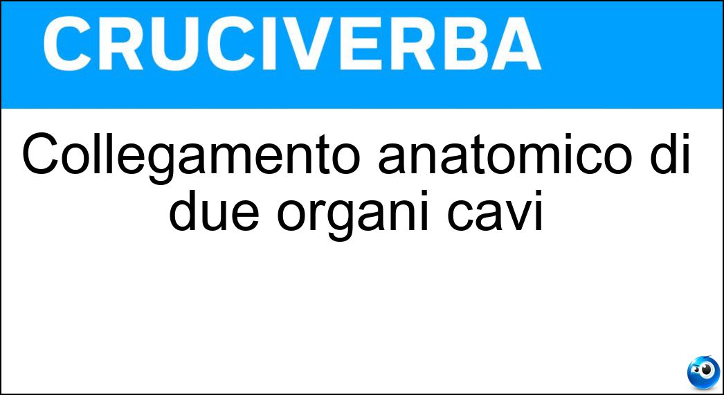 Collegamento anatomico di due organi cavi Soluzione Cruciverba: Collegamento anatomico di due organi cavi - Risposta Anastomosi