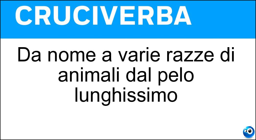Dà nome a varie razze di animali dal pelo lunghissimo Soluzione Dà nome a varie razze di animali dal pelo lunghissimo - Angora