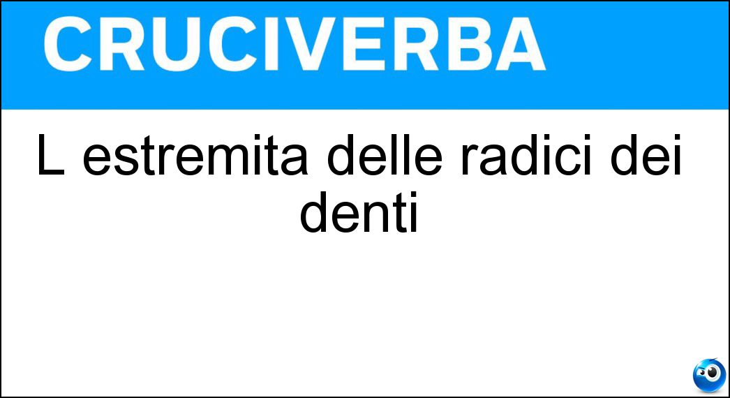 L estremità delle radici dei denti