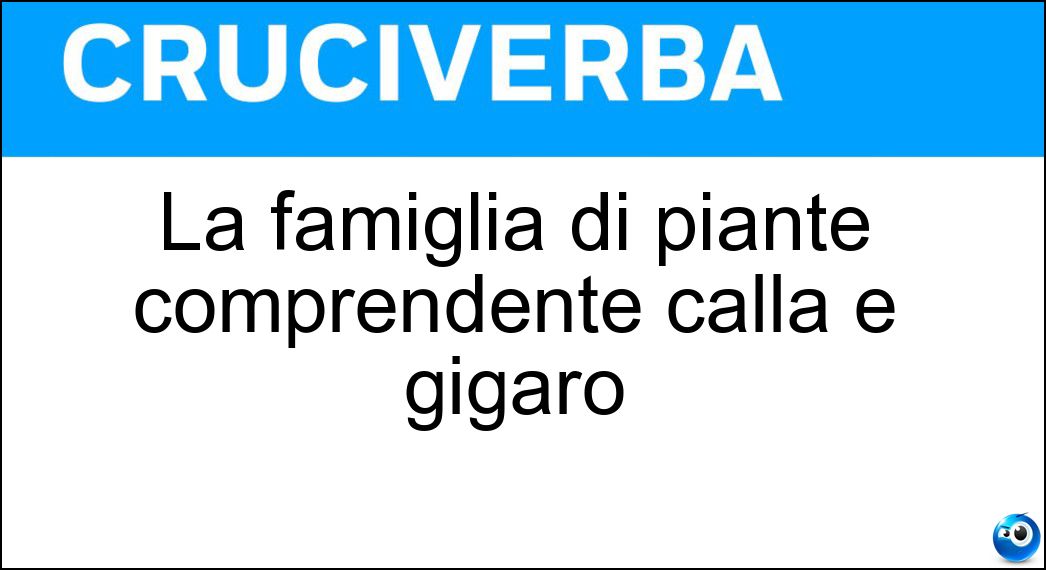 La famiglia di piante comprendente calla e gigaro