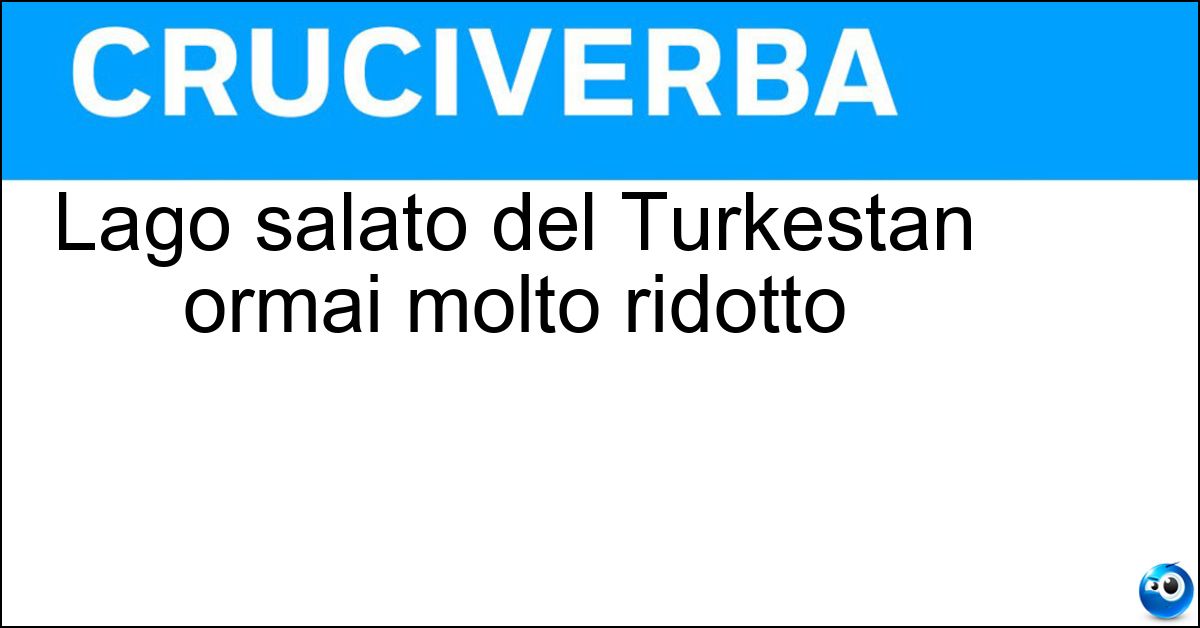 Lago salato del Turkestan ormai molto ridotto Soluzione Lago salato del Turkestan ormai molto ridotto - Aral