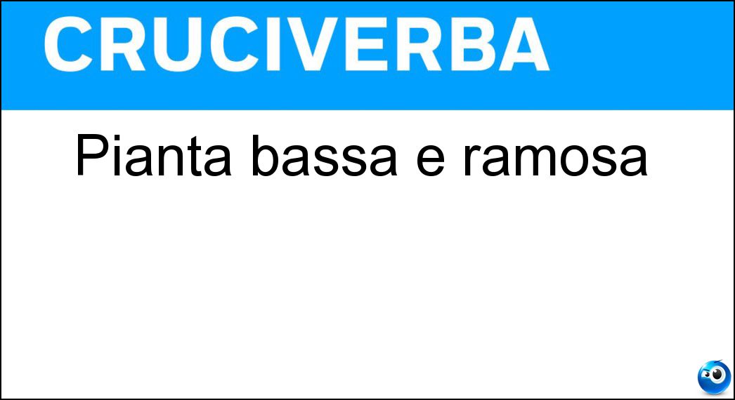 Pianta bassa e ramosa Soluzione Cruciverba: Pianta bassa e ramosa - Risposta Arbusto