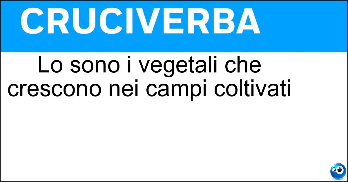 Soluzione Lo sono i vegetali che crescono nei campi coltivati - Arvensi
