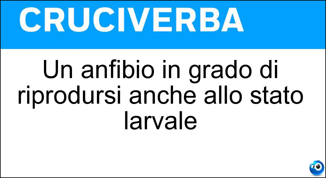 Un anfibio in grado di riprodursi anche allo stato larvale