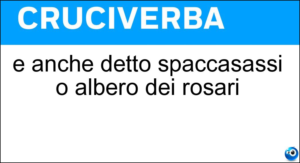 Soluzione È anche detto spaccasassi o albero dei rosari - Bagolaro