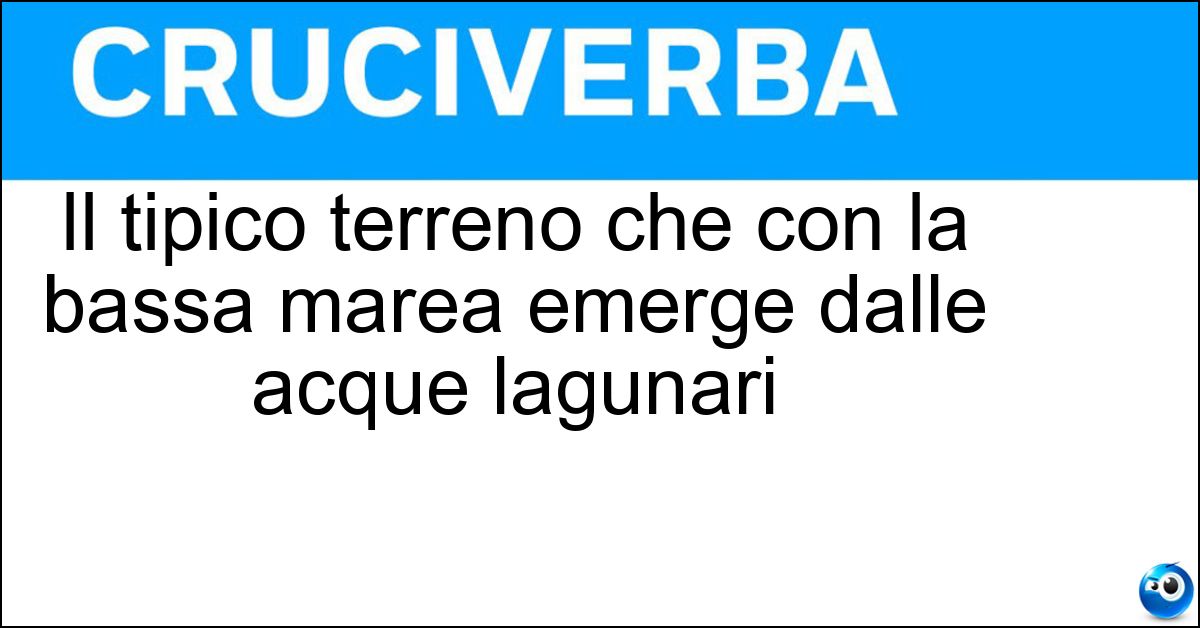 Soluzione Il tipico terreno che con la bassa marea emerge dalle acque lagunari - Barena